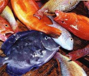 La Bouillabaisse est dégustée avec des petits pains grillés, les croûtons, tartinés de ROUILLE, une mayonnaise à l