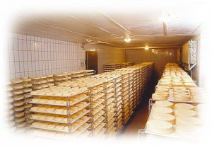 


Ces fromages sont proposés frais ou affinés en fonction des goûts de consommateurs